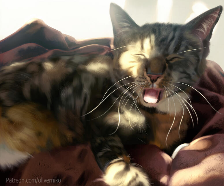 A silver tabby cat in the process of yawning, with bright sunlight reflecting off her face, leg and the blanket she lays on.