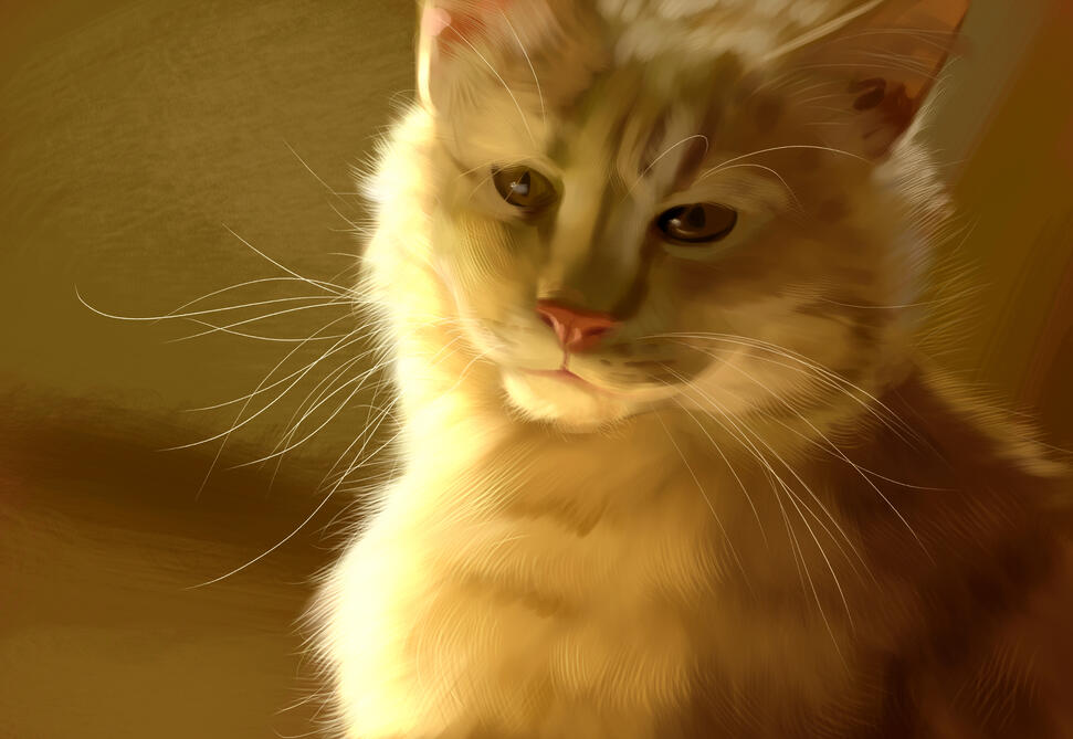 A ginger cat, hit with warm sunny lighting.